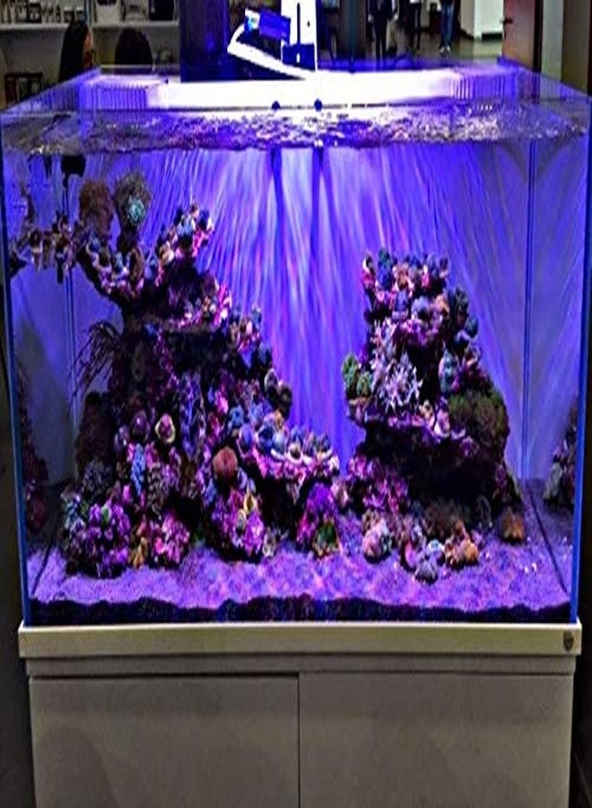 MASHKI Aquarium Purple Sand Stones Fish Tank Rocks Natural River Gravel Polished Decorative Colorful Landscaping Sand (1 Kg) Gravel Unplanted Substrate (Purple) - Image 2